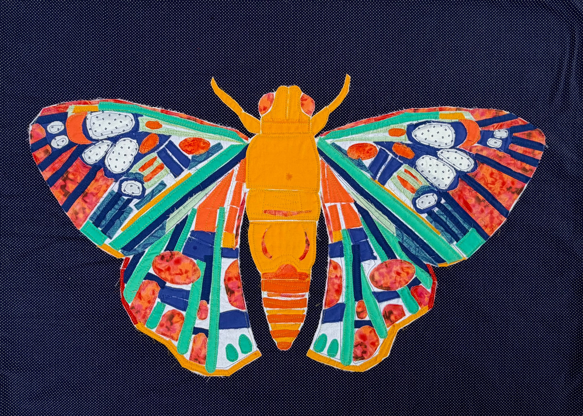 rad moth