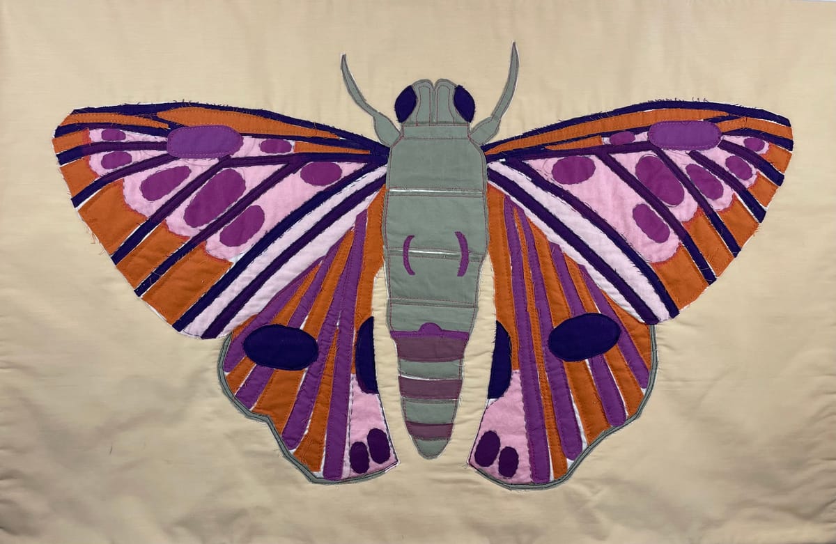 pastel moth