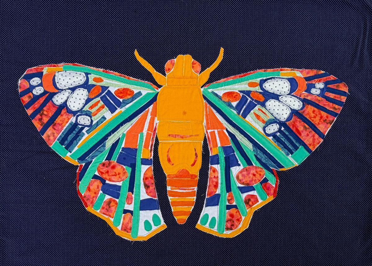 rad moth